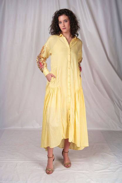 Buttoned down long dress with embroidered full sleeves