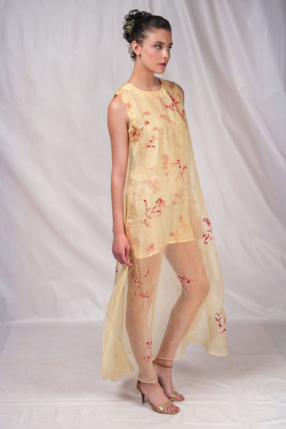 Printed mid thigh length dress with embroidered ankle length organza over layer