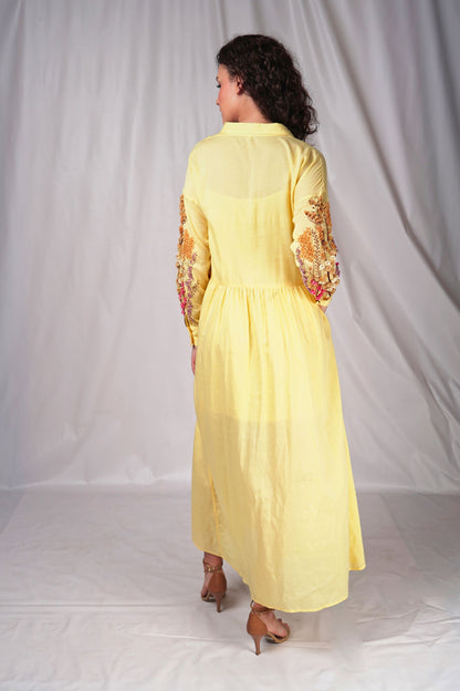 Buttoned down long dress with embroidered full sleeves