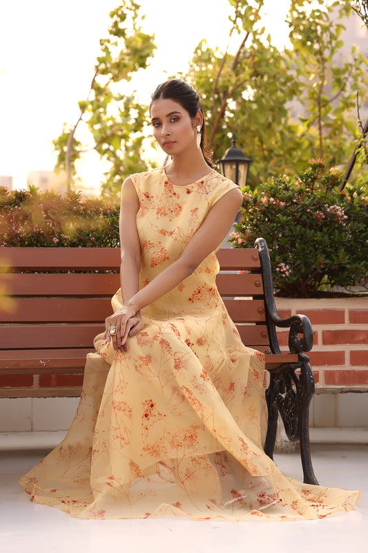 Elegant long dress with printed under dress and embroidered organza upper layer